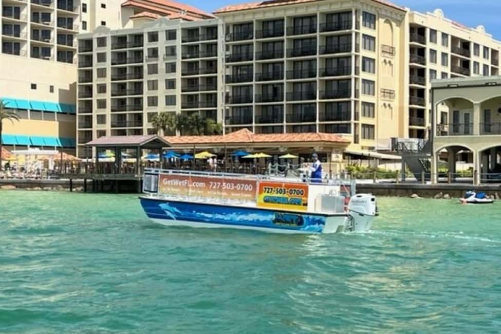image n.3 of Clearwater Beach: Dolphin-Watching Sunset Cruise activity in Clearwater, uploaded by supplier