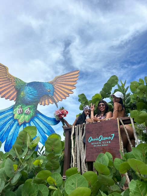Image N°4 de Nassau : Plongée en apnée dans les récifs, tortues, déjeuner et club de plage privé activité à Bahamas, publiée par le prestataire