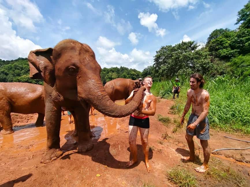 image n.44 of Chiang Mai: Elephant Sanctuary & Waterfall Group Tour activity in Chiang Mai, uploaded by supplier