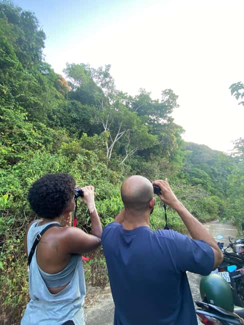 image n.2 of Safari - Finding the most endangered monkey in the World activity in Da Nang, uploaded by supplier