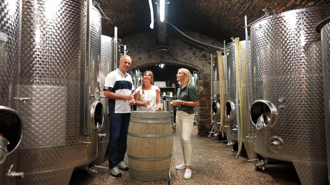 image n.1 of Discovery tour - cellar tour with wine tasting activity in Koblenz, uploaded by supplier