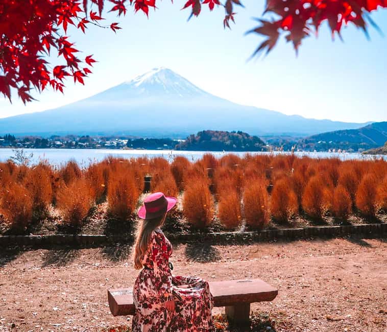image n.8 of Private Mount Fuji sightseeing Day trip with English Guide activity in Fujikawaguchiko, uploaded by supplier
