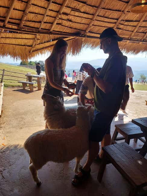 image n.7 of From Chiang Rai: Doi Chang Coffee Route & Temple Treasures activity in Chiang Rai (Province), uploaded by supplier