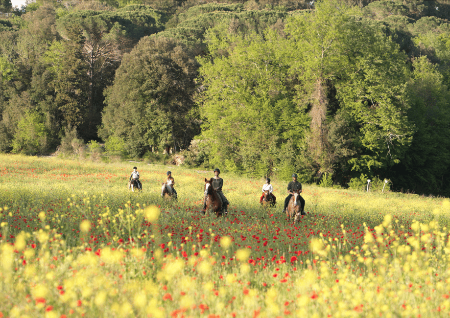 imagen n.º 2 de Siena: Aventura a caballo por la campiña toscana actividad en Siena, subida por el proveedor
