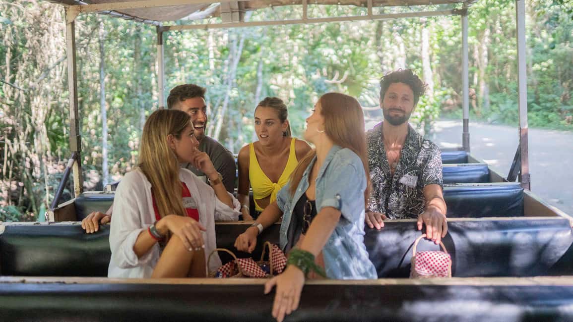 image n.13 of Cancun: ATV, Ziplines and Cenote Adventure in the Jungle activity in Quintana Roo, uploaded by supplier