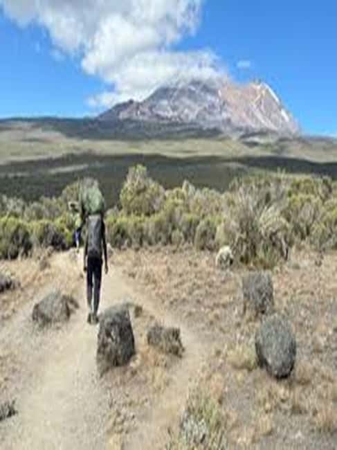 image n.5 of #.1-Day Tour: Kilimanjaro Lemosho Route From Arusha/Moshi activity in Kilimanjaro, uploaded by supplier