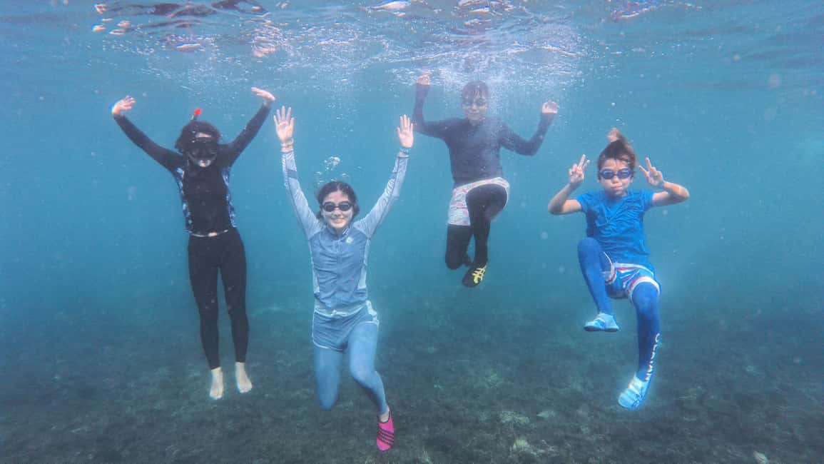 billede nr.2 af aktiviteten Koh Tao: First Light Snorkel Adventure med Oxygen Tours i Ko Tao, uploadet af udbyder