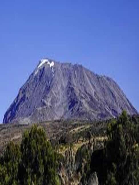 image n.8 of Best Kilimanjaro Day Hike With Car Shira Plateau experience activity in Arusha (Region), uploaded by supplier