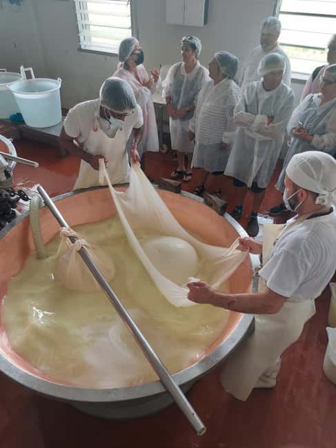 image n.5 of From Parma: Parmigiano and Parma Ham Guided Food Tour activity in Parma, uploaded by supplier