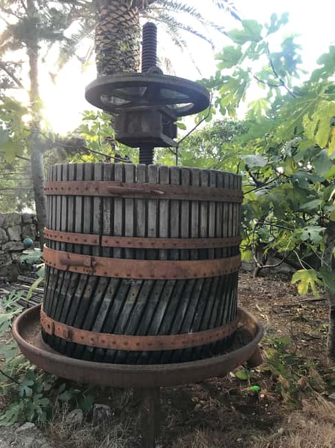 image n.14 of Hvar: Hvar Wine Tasting Experience activity in Zagreb County, uploaded by supplier
