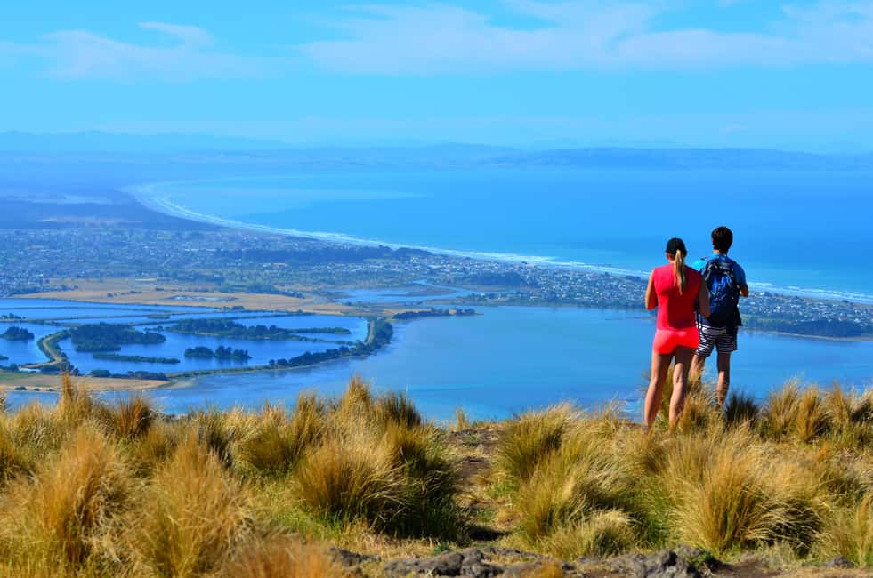 image n.4 of Christchurch: Full or Half-Day Rock Climbing Tour with Guide activity in Diamond Harbour, New Zealand, uploaded by supplier