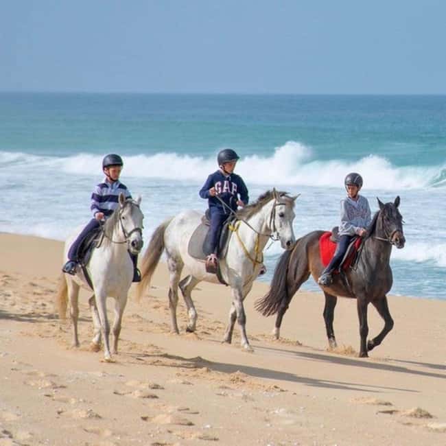 imagem n.2 de Melides: Passeios a cavalo na praia de Melides atividade em Melides, carregada pelo fornecedor