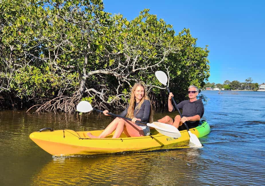 image n.5 of Noosa Heads: Hidden Waterways Wildlife Kayak (Fully Guided) activity in Noosaville, uploaded by supplier