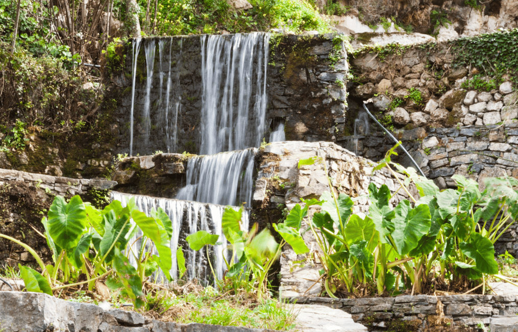 Immagine nº 1 di Fuoristrada: lago naturale, gole di montagna, foresta di palme e spiaggia attività a Kournas, caricata dal fornitore