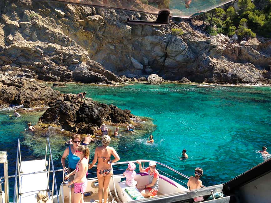 bild nr.7 av Mallorca: Kryssning med delfinskådning aktivitet i Calvià, uppladdad av arrangören
