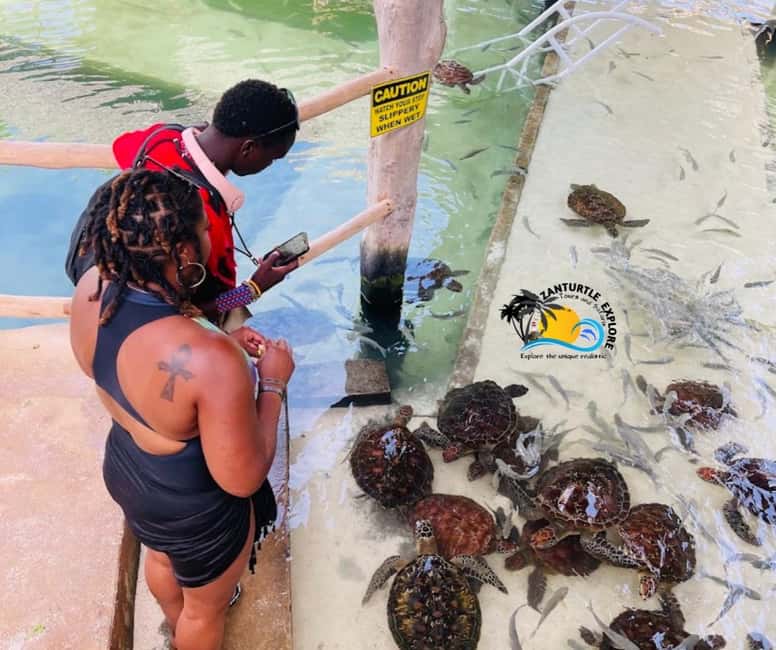 image n.2 of Nungwi: Swimming with Turtles at The Lagoons Zanzibar activity in Zanzibar City, uploaded by supplier