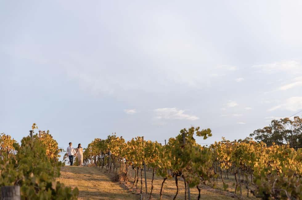 image n.6 of Mount Cotton: Winery Tour & Tasting with 3-Course Lunch activity in Brisbane, uploaded by supplier