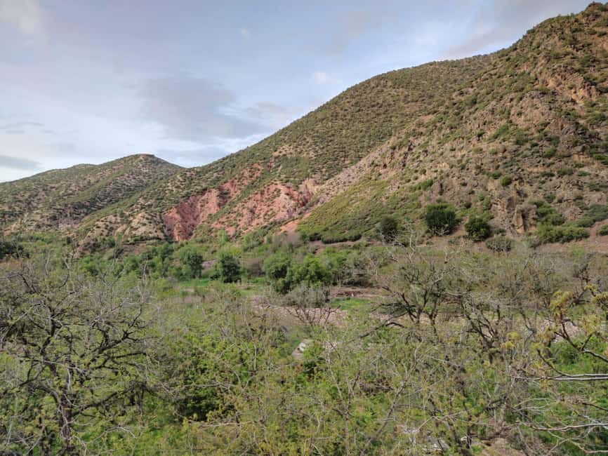 image n.15 of Marrakech: ourika valley & waterfall Day Trip with guide activity in Marrakesh, uploaded by supplier