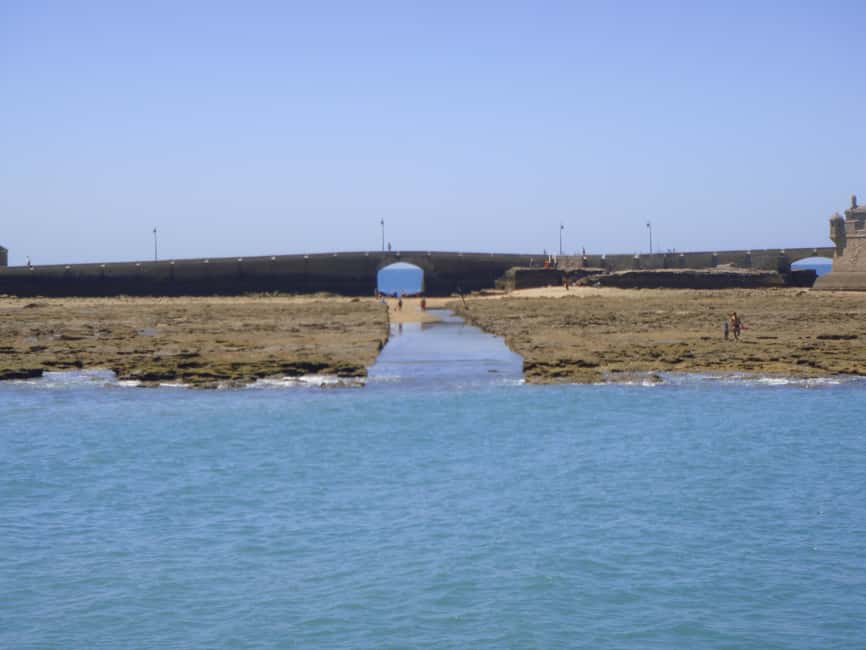 imagen n.º 9 de Cádiz: Excursión en Catamarán por la Bahía de Cádiz con Anfitrión actividad en Cádiz, subida por el proveedor