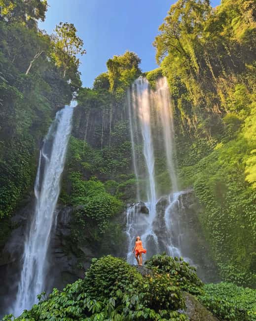 image n.8 of North Bali: Sekumpul and Banyumala Waterfalls & Rice Terrace activity in Bali, uploaded by supplier