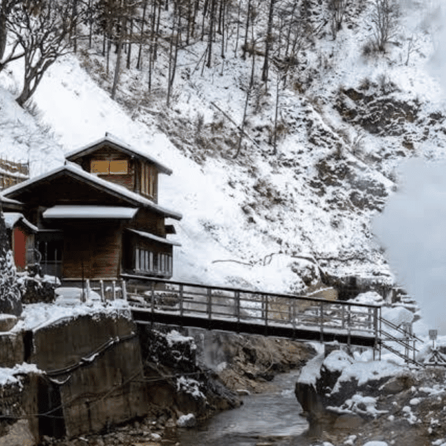 image n.10 of Tokyo to Nagano: Snow Monkeys & Zenkoji Private Tour activity in Chubu Region, uploaded by supplier
