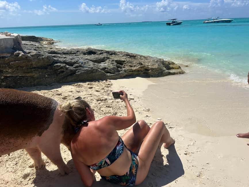 Image N°26 de Nassau : Cochons, plongée en apnée, tortues, déjeuner, club de plage privé activité à New Providence, publiée par le prestataire