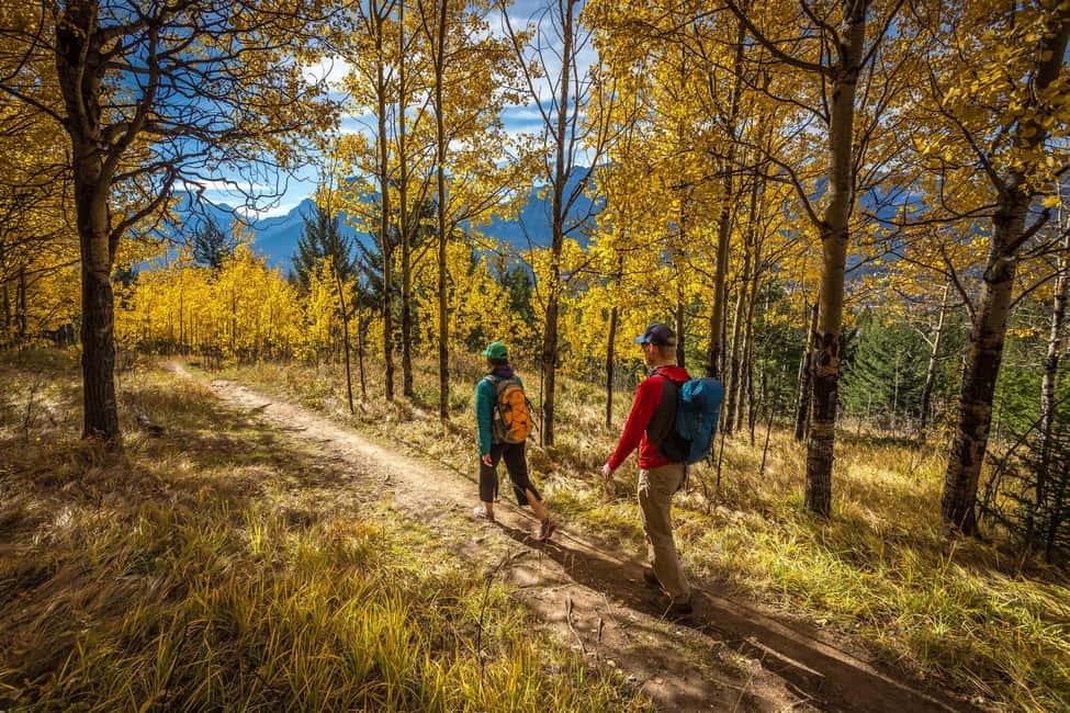 image n.13 of PRIVATE Wilderness and Wildlife Walking Tour - 2.5H activity in British Columbia, uploaded by supplier