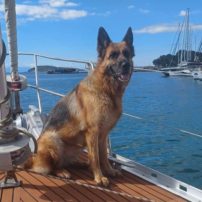 image n.17 of Skiathos: Day-Sailing Tour with Lunch on Board activity in Skopelos Town, uploaded by supplier