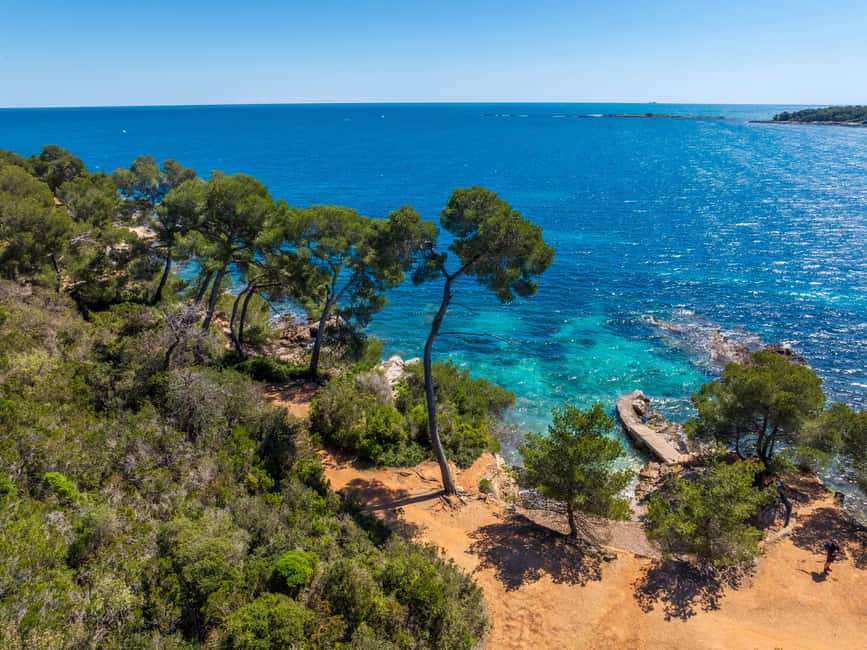 Cannes içindeki Cannes'dan: Ste. Marguerite Adası'na Gidiş-Dönüş Feribot etkinliğinin tedarikçi tarafından yüklenen 24 no'lu görseli