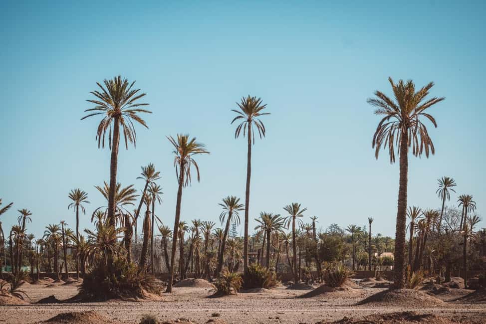 imaginea n.12 a activității Marrakech : 3h tur privat cu sidecar în afara căii bătătorite în Marrakesh, încărcată de organizator
