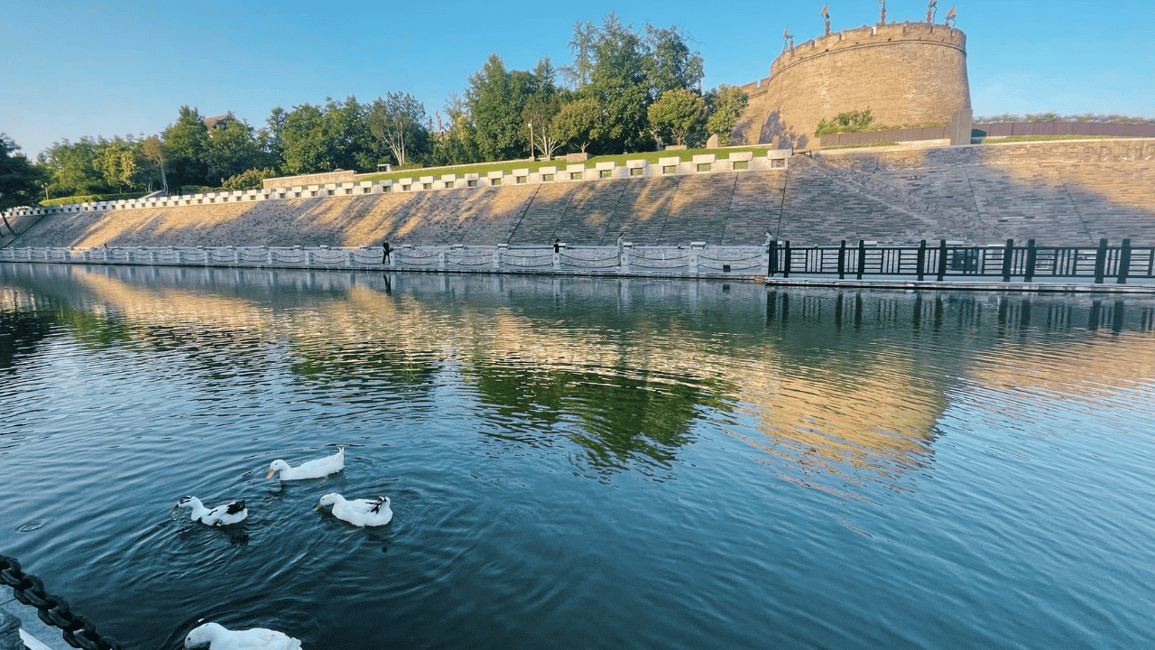 image n.5 of Xi'an: City Wall Moat Smart Boat Tour activity in Xi'an, uploaded by supplier