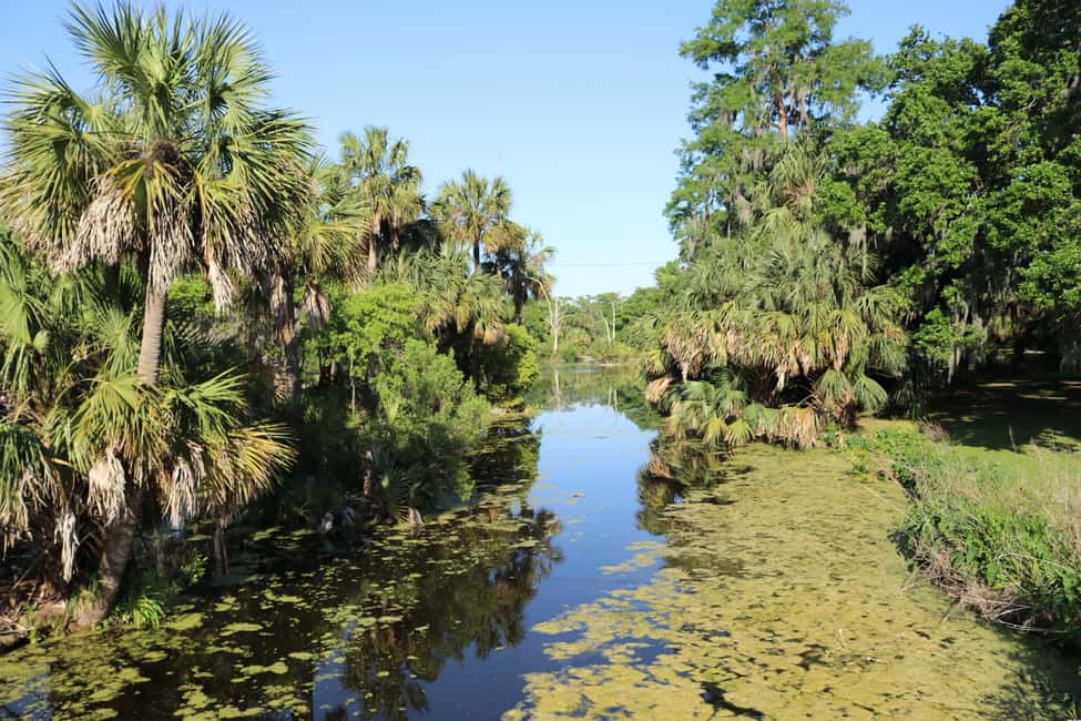 Immagine nº 19 di New Orleans: tour della città e del cimitero in autobus di 2 ore e 15 minuti attività a New Orleans, caricata dal fornitore
