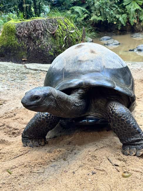 image n.9 of Full day Mahe Tour activity in Mahé, uploaded by supplier