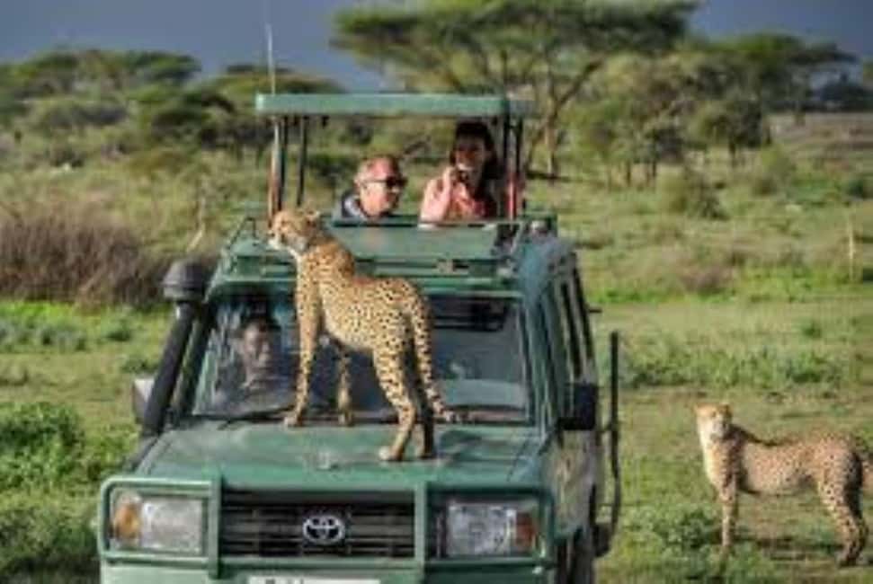 image n.94 of 2-Days Wildlife Safari to Tsavo East & Tsavo West Park activity in Coast Province, uploaded by supplier