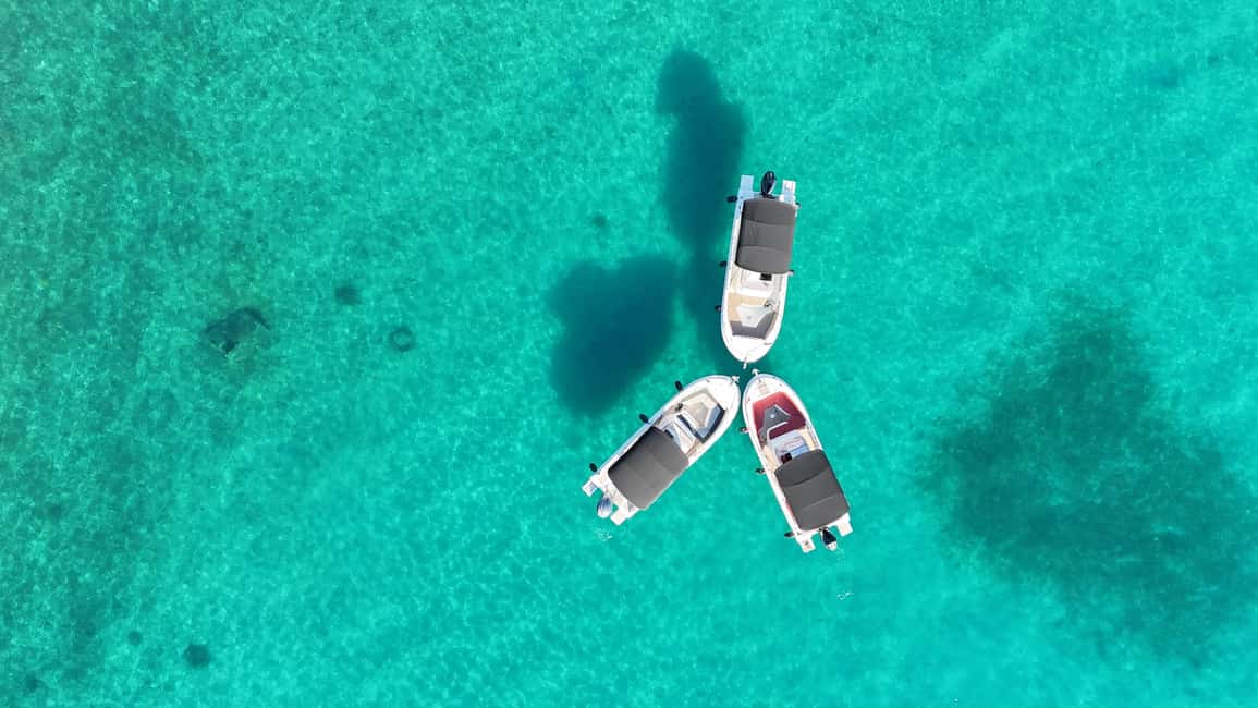 image n.20 of Zadar: Original Island-Hopping Speedboat Tour with Drinks activity in Preko, uploaded by supplier