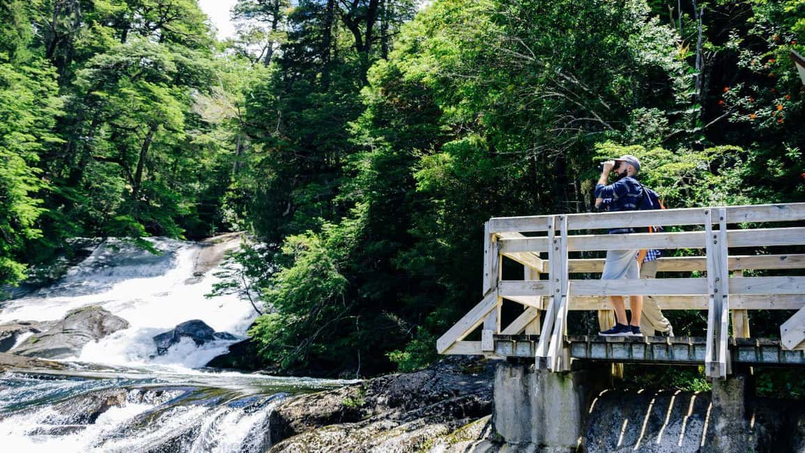 imagem n.4 de Bariloche: Puerto Blest e Cachoeira Los Cantaros atividade em Região dos Lagos, Argentina, carregada pelo fornecedor