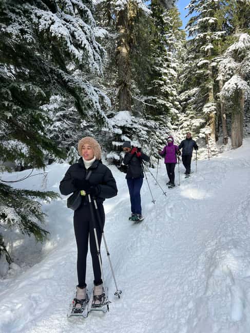 image n.20 of Vancouver: North Shore Mountains Snowshoeing with Transfer activity in West Vancouver, uploaded by supplier