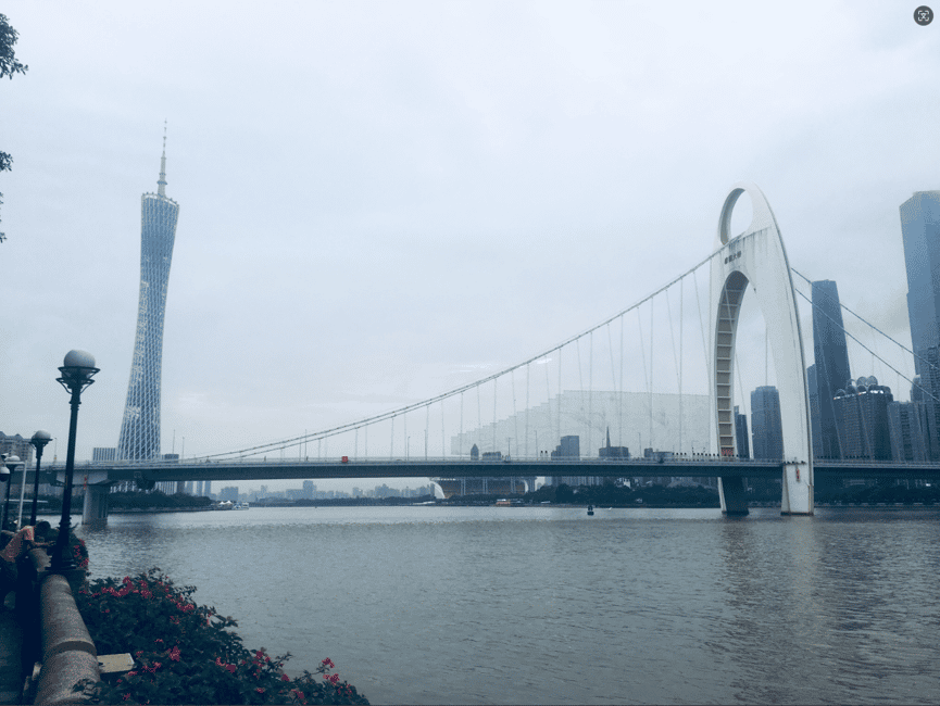 Image N°1 de Guangzhou : visite privée de la ville avec déjeuner dim sum activité à Guangzhou, publiée par le prestataire
