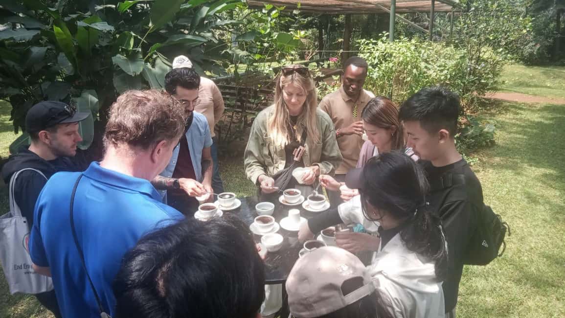 image n.62 of Coffee Farm Tour (Fairview) activity in Kiambu, uploaded by supplier