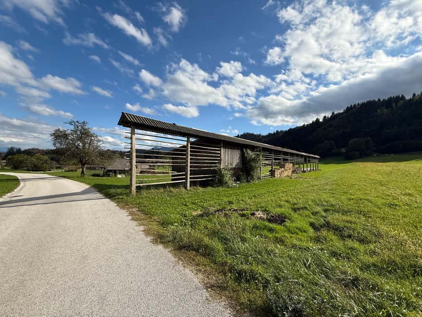 image n.4 of From Bled: Self Guided E-Bike Trip to Triglav National Park activity in Bohinj, uploaded by supplier