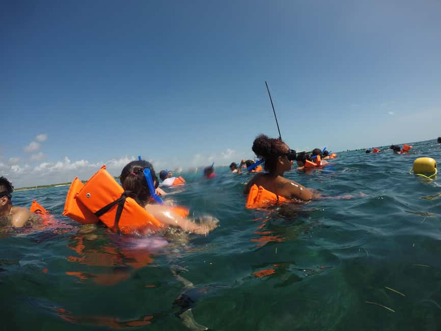 Image N°18 de Catamaran illimité pour Isla Mujeres depuis Playa del carmen activité à Quintana Roo, publiée par le prestataire