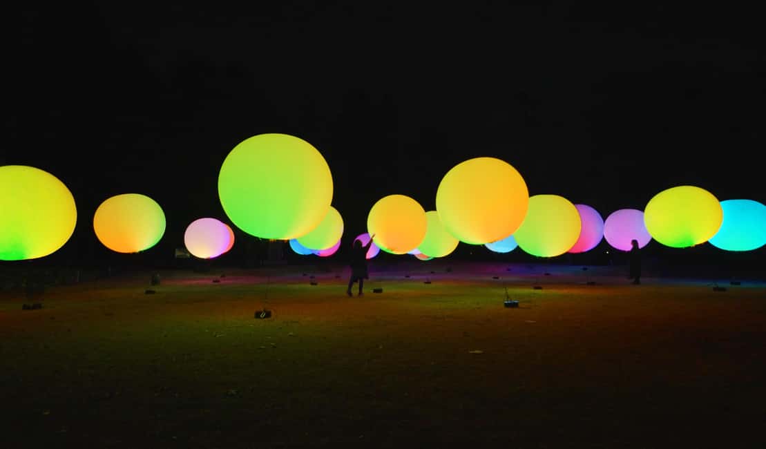 Image N°8 de Osaka : ticket d'entrée au jardin botanique teamLab activité à Osaka, publiée par le prestataire