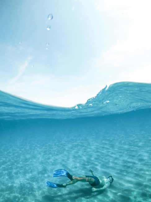 image n.7 of Mombasa: Wasini Dolphin Tour activity in Central Kenya, uploaded by supplier