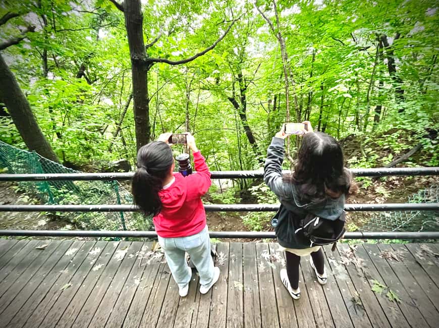 image n.27 of Montreal's Mount Royal Tour activity in Montreal, uploaded by supplier