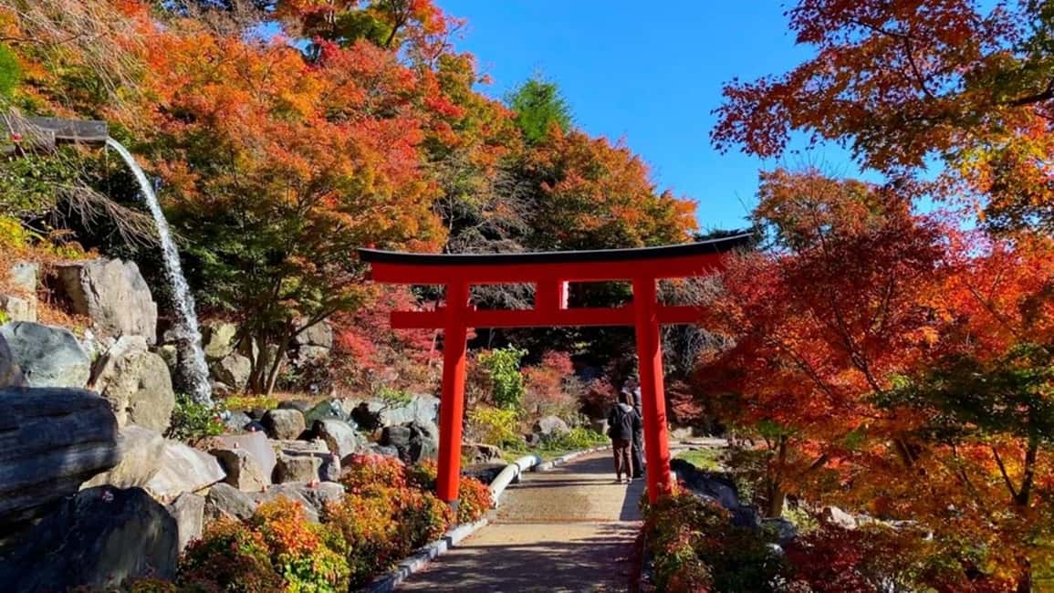 サプライヤーによってアップロードされた、京都の大阪：箕面、勝尾寺、嵐山、平等院（神戸牛ランチ付き）の画像#17