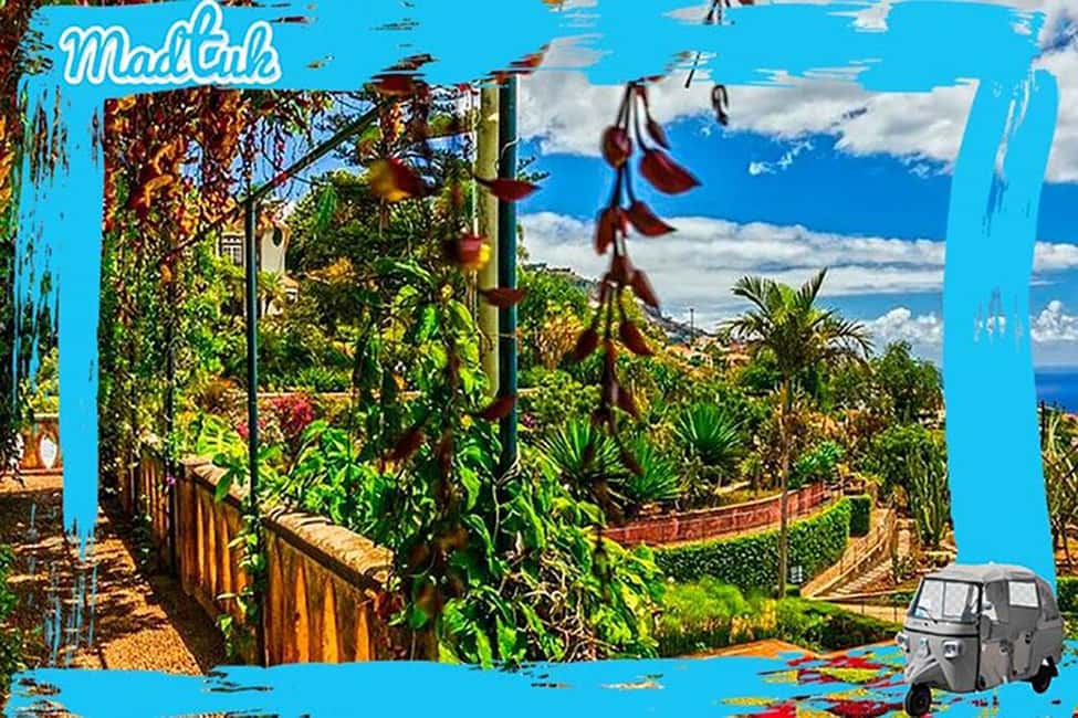 image n.4 of Madeira: Botanical Gardens + Old Town Tuk-Tuk Tour by MadTuk activity in Funchal, uploaded by supplier