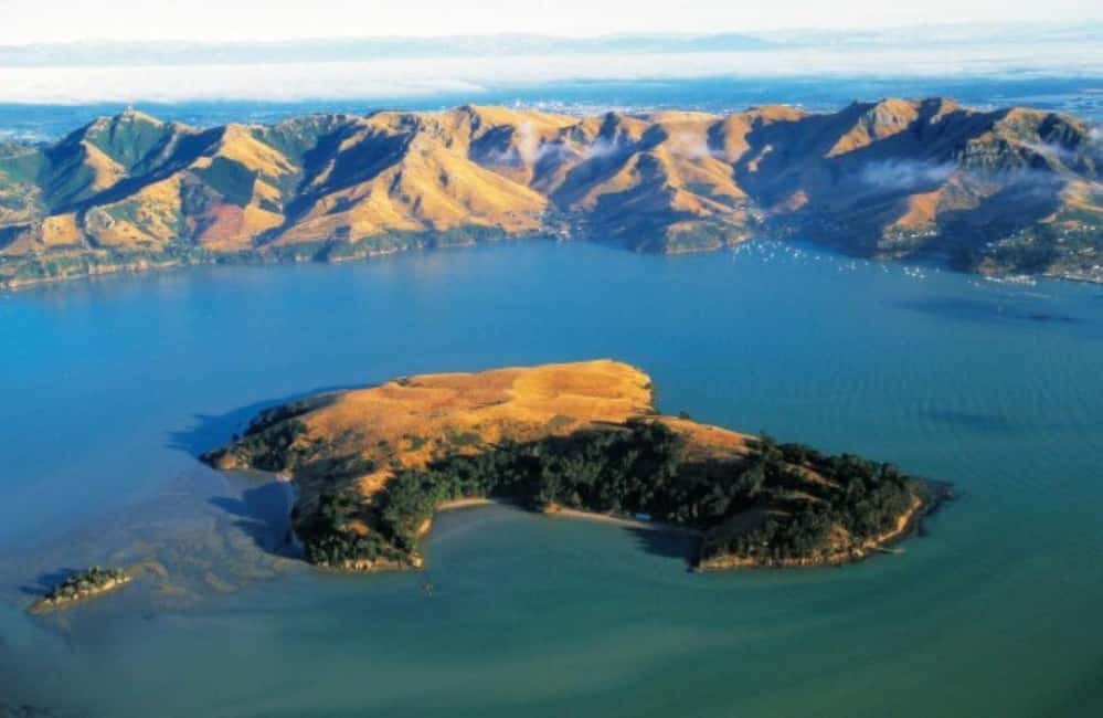 image n.10 of Christchurch: Sea Kayaking Tour of Lyttelton Harbour activity in South Island, uploaded by supplier