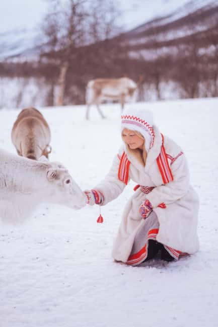 image n.4 of Tromsø: Reindeer Experience at a Sami Camp activity in Tromsø, uploaded by supplier