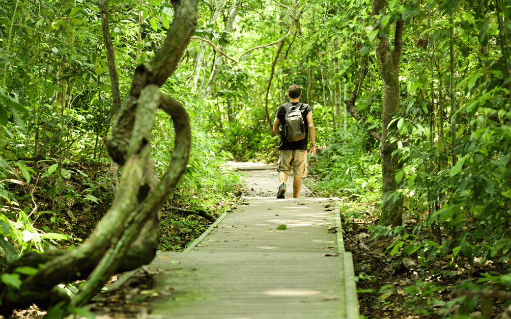 image n.7 of Kuala Lumpur: Taman Negara National Park Teras Waterfall activity in Kuala Lumpur, uploaded by supplier
