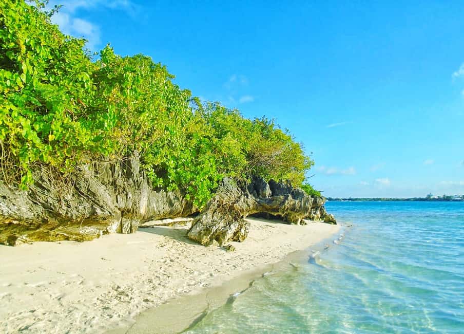 image n.4 of 5 Islands Trip inc. Ile aux Cerfs, Lunch, Drinks & Transport activity in Mauritius, uploaded by supplier